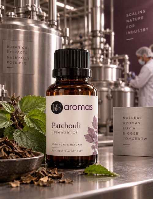 Industrial processors sourcing Patchouli Essential Oil